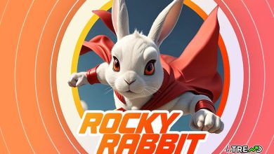 Rocky Rabbit