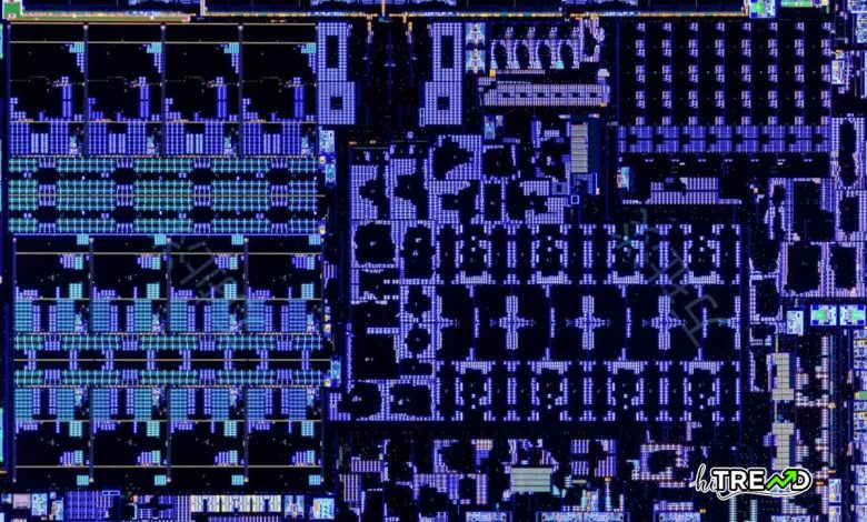 AMD Strix Point mobile