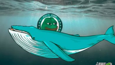 PEPE Whale Dumps