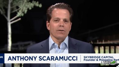 Scaramucci