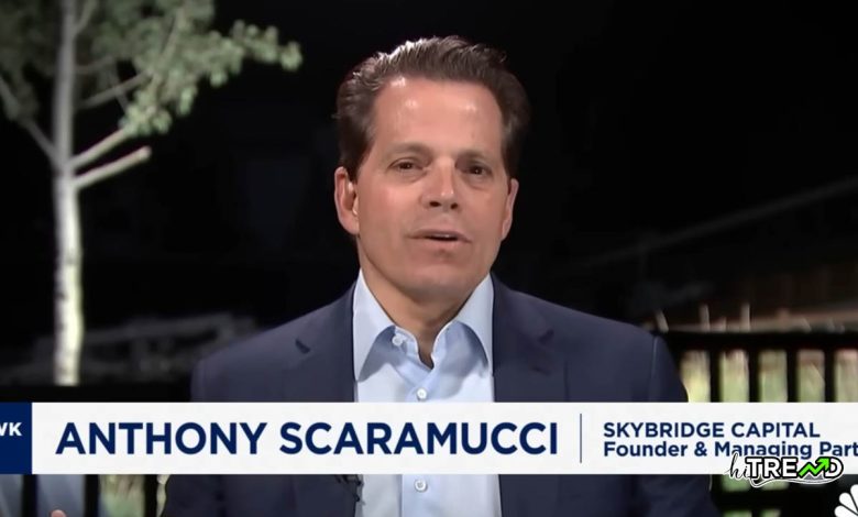 Scaramucci