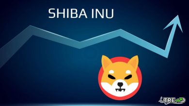 Shiba Inu