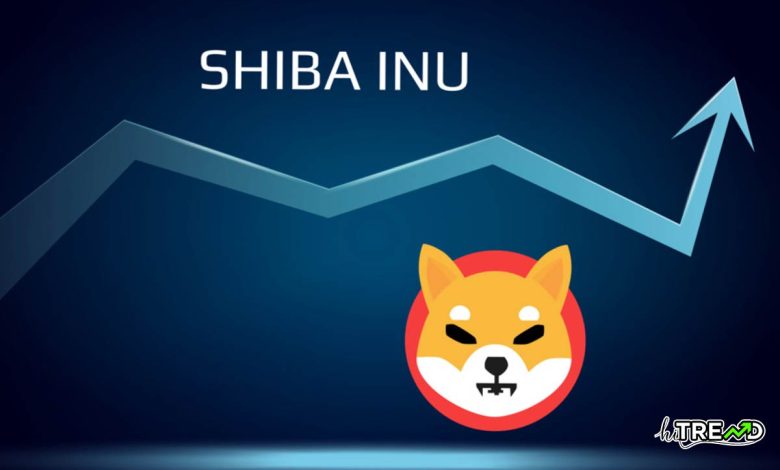 Shiba Inu