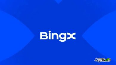 BingX