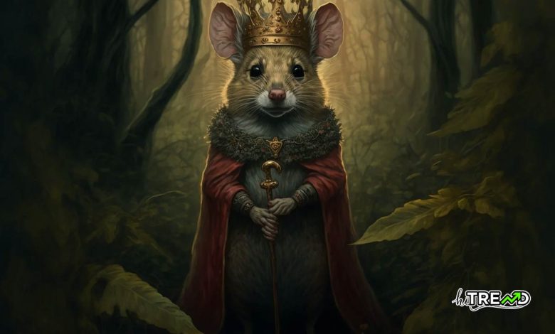 Rats Kingdom