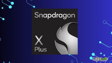 Snapdragon