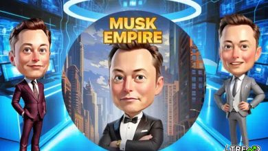 Musk X Empire